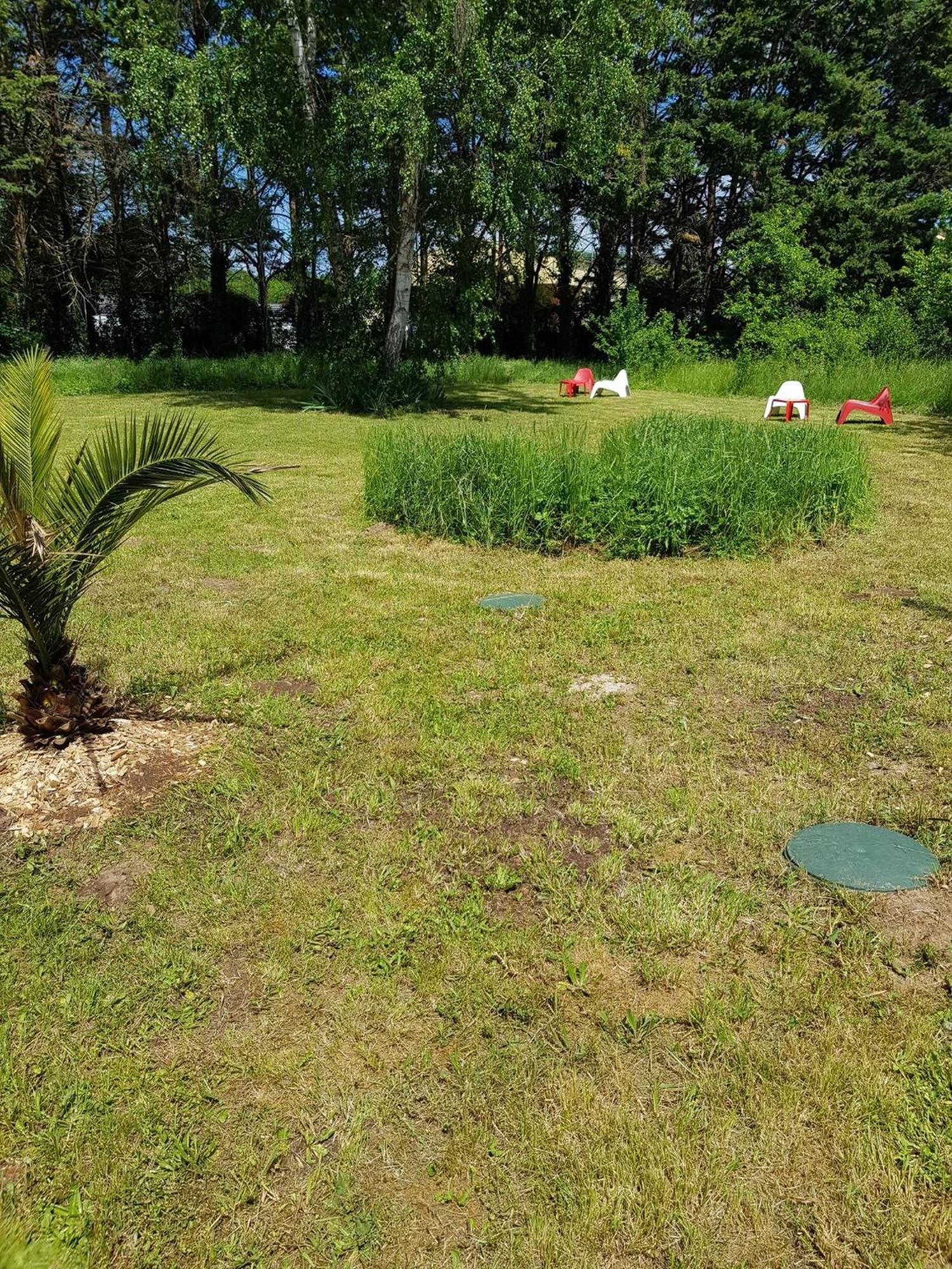 11 - Tres Joli 2 Pieces Tout Equipe Pour 1 A 5 Personnes, Vue Sur Parc Arbore, Parking Privatif Gratuit, Grand Fourgon Possible, Tout Le Linge De Maison Est Fourni Razac-sur-lʼIsle Exteriér fotografie